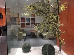 -圣轩·诗安国际母婴会所(渝中店)