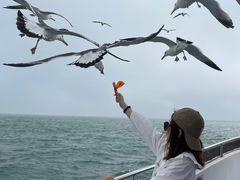 -海驴岛(荣成市)