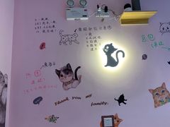 -三花喵·撸猫购宠·宠物生活馆(虹桥南丰城店)