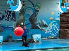 -荆州中山公园动物园