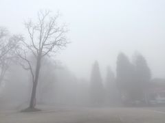-武陵山森林公园