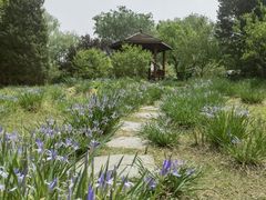 -莲花池公园
