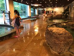 -天目湖涵田半山温泉