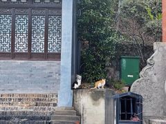 -句容茅山景区