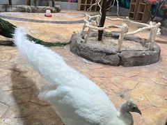 -海合安青岛极地海洋公园