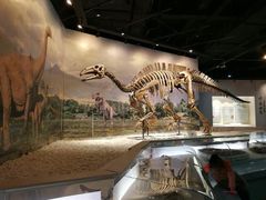 -辽宁古生物博物馆