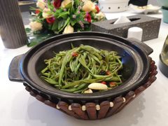 钵子扁豆丝-九头鸟酒家(四道口店)