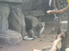 -青藏高原野生动物园