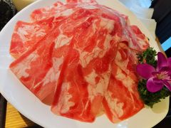 -杨肥肠火锅大排档(火车站花园店)