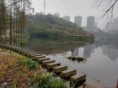 -重庆彩云湖湿地公园