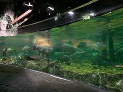 -暹罗海洋世界