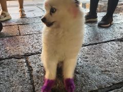 -襄阳城墙