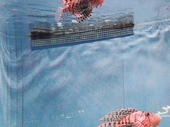 -北京海洋馆