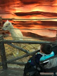 -酷嗒动物文化乐园(cutezoo西溪乐天城店)