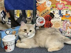 -GOOD好事咖啡(会展城店)