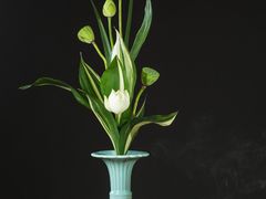 -华兴大酒楼(亿宝大厦店)