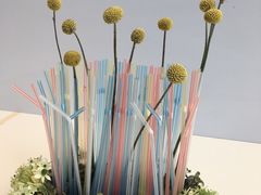 -广州市第二少年宫