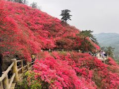 -木兰云雾山