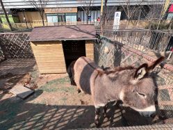 -萌宠亲子动物乐园(槐房万达店)