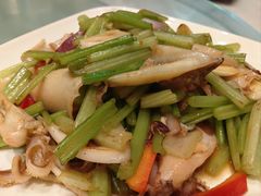 -华盛丰温州大排档(东三环南路店)