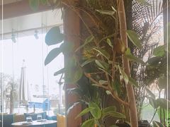 -the rug 飞毯 (朝阳公园店)