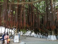 -胡里山炮台