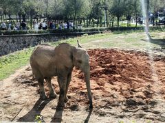 -哈尔滨北方森林动物园