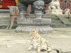 -丰都鬼城名山景区