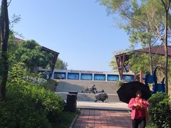 -广东惠东海龟国家级自然保护区