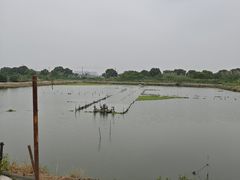 -乡乐园蟹庄·阳澄湖农家乐