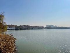 -李公堤