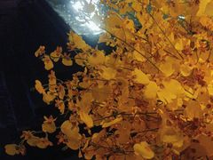 -泰之源足浴会所(玉环店)