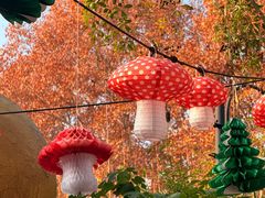 -HERRE·FARM 赫尔露营农场·团建聚会包场