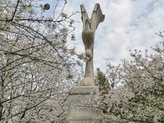 -武汉大学-樱园