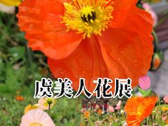 -温江公园