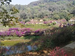 -南国桃园旅游度假区