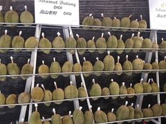 -都念榴莲·城市榴莲