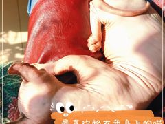 -平行世界·猫咖(首经贸店)