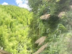 -将军关探险漂流