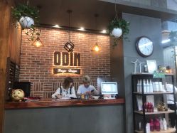 -ODIN 奥丁形象设计 