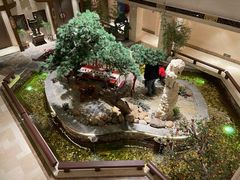 -顺峰(农展馆店)