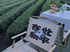 -龙坞茶村