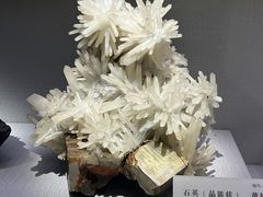 -湖南省地质博物馆