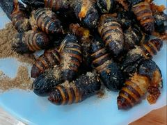 -原肖村桥卤煮(旧宫东路店)