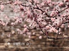 -北京明城墙遗址公园