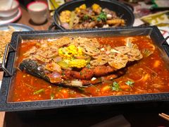 -渝蛙馆(九霄梦天地店)