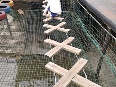 -梦幻奥陶纪景区
