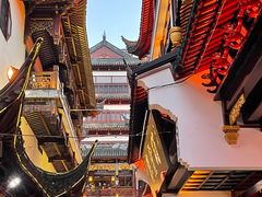 -鲜得来排骨年糕(豫园店)