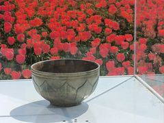 -荷兰花海