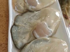 -濠轩阁特色生蚝火锅(水湾路店)